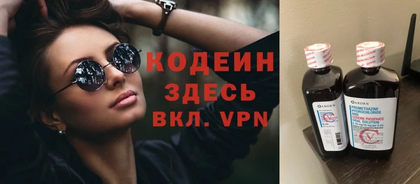 дурь Алексин