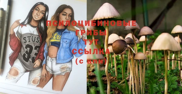дурь Алексин