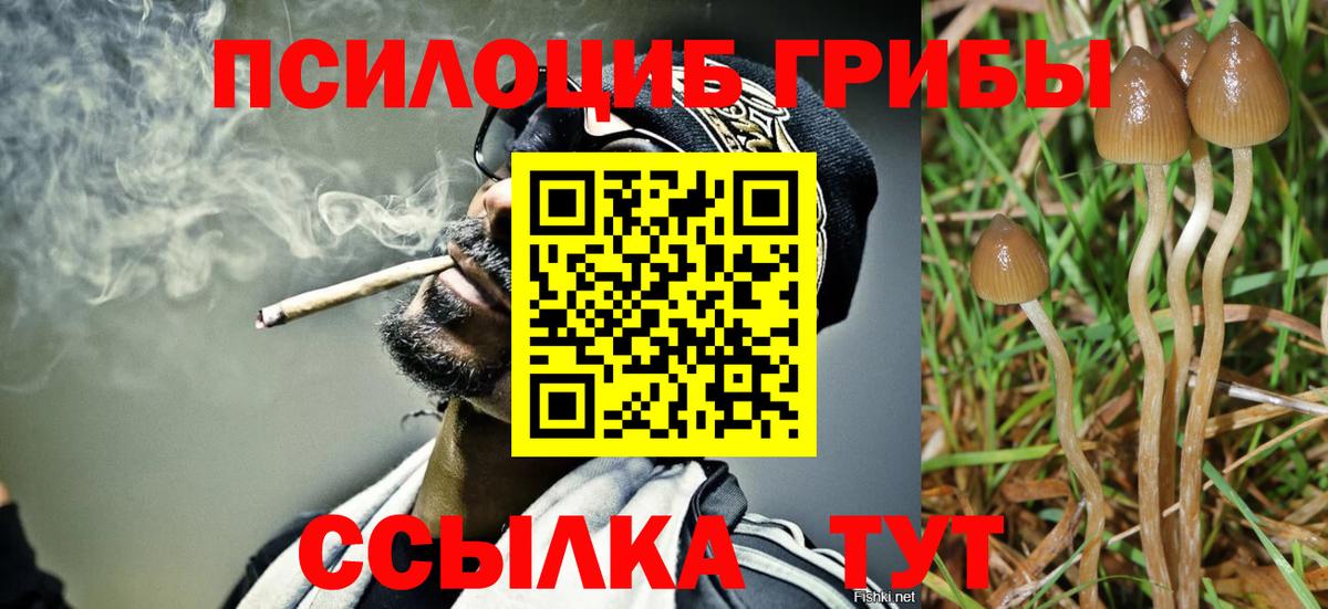 Псилоцибиновые грибы MAGIC MUSHROOMS Южно-Сахалинск